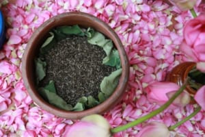 Trà sen cổ truyền là sự kết hợp giữa trà vàng shan tuyết Hà Giang & hoa hồ Tây Hà Nội